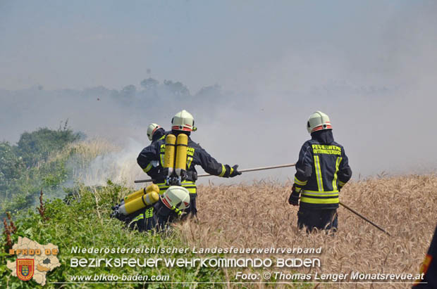 20180619 Großer Flurbrand bei Unterwaltersdorf Foto: © Thomas Lenger Monatsrevue.at 20180619 Großer Flurbrand bei Unterwaltersdorf Foto: © Thomas Lenger Monatsrevue.at