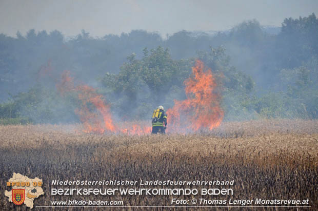 20180619 Großer Flurbrand bei Unterwaltersdorf Foto: © Thomas Lenger Monatsrevue.at 20180619 Großer Flurbrand bei Unterwaltersdorf Foto: © Thomas Lenger Monatsrevue.at
