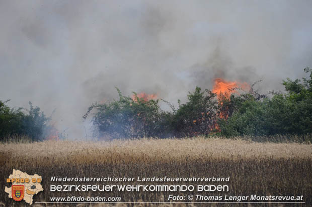 20180619 Großer Flurbrand bei Unterwaltersdorf Foto: © Thomas Lenger Monatsrevue.at 20180619 Großer Flurbrand bei Unterwaltersdorf Foto: © Thomas Lenger Monatsrevue.at