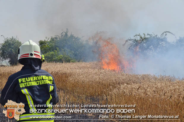 20180619 Großer Flurbrand bei Unterwaltersdorf Foto: © Thomas Lenger Monatsrevue.at 20180619 Großer Flurbrand bei Unterwaltersdorf Foto: © Thomas Lenger Monatsrevue.at