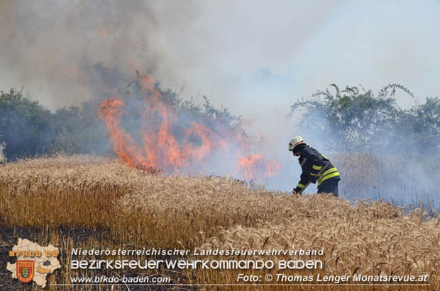 20180619 Großer Flurbrand bei Unterwaltersdorf Foto: © Thomas Lenger Monatsrevue.at 20180619 Großer Flurbrand bei Unterwaltersdorf Foto: © Thomas Lenger Monatsrevue.at