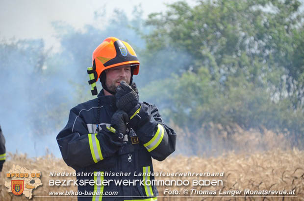 20180619 Großer Flurbrand bei Unterwaltersdorf Foto: © Thomas Lenger Monatsrevue.at 20180619 Großer Flurbrand bei Unterwaltersdorf Foto: © Thomas Lenger Monatsrevue.at