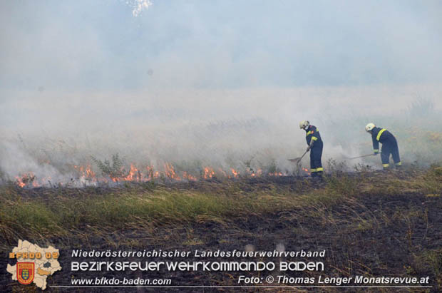20180619 Großer Flurbrand bei Unterwaltersdorf  Foto: © Thomas Lenger Monatsrevue.at