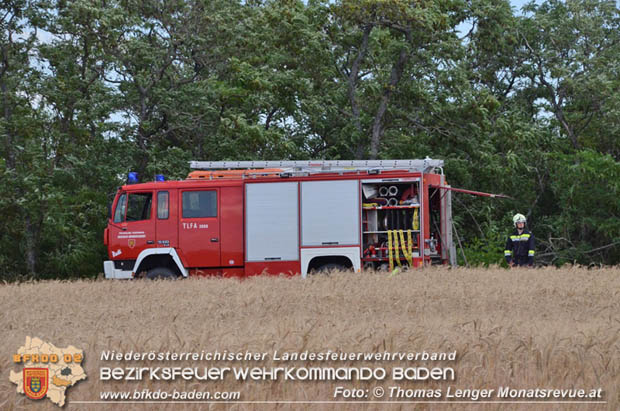 20180619 Großer Flurbrand bei Unterwaltersdorf Foto: © Thomas Lenger Monatsrevue.at 20180619 Großer Flurbrand bei Unterwaltersdorf Foto: © Thomas Lenger Monatsrevue.at