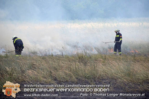 20180619 Großer Flurbrand bei Unterwaltersdorf Foto: © Thomas Lenger Monatsrevue.at 20180619 Großer Flurbrand bei Unterwaltersdorf Foto: © Thomas Lenger Monatsrevue.at
