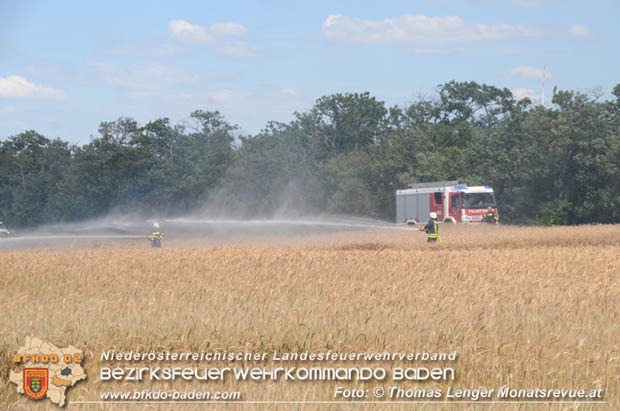 20180619 Großer Flurbrand bei Unterwaltersdorf Foto: © Thomas Lenger Monatsrevue.at 20180619 Großer Flurbrand bei Unterwaltersdorf Foto: © Thomas Lenger Monatsrevue.at