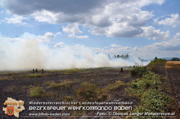 20180619 Großer Flurbrand bei Unterwaltersdorf Foto: © Thomas Lenger Monatsrevue.at 20180619 Großer Flurbrand bei Unterwaltersdorf Foto: © Thomas Lenger Monatsrevue.at