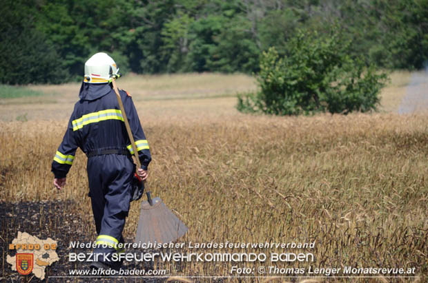 20180619 Großer Flurbrand bei Unterwaltersdorf Foto: © Thomas Lenger Monatsrevue.at 20180619 Großer Flurbrand bei Unterwaltersdorf Foto: © Thomas Lenger Monatsrevue.at