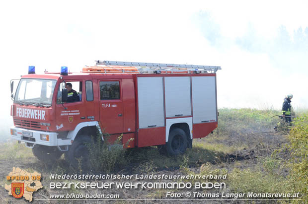 20180619 Großer Flurbrand bei Unterwaltersdorf Foto: © Thomas Lenger Monatsrevue.at 20180619 Großer Flurbrand bei Unterwaltersdorf Foto: © Thomas Lenger Monatsrevue.at