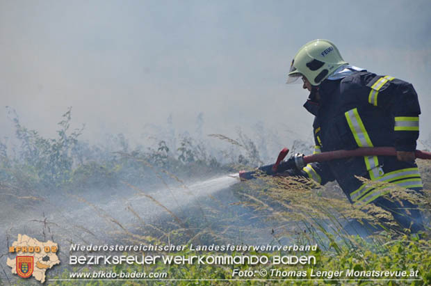 20180619 Großer Flurbrand bei Unterwaltersdorf Foto: © Thomas Lenger Monatsrevue.at 20180619 Großer Flurbrand bei Unterwaltersdorf Foto: © Thomas Lenger Monatsrevue.at