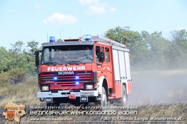 20180619 Großer Flurbrand bei Unterwaltersdorf Foto: © Thomas Lenger Monatsrevue.at 20180619 Großer Flurbrand bei Unterwaltersdorf Foto: © Thomas Lenger Monatsrevue.at