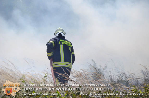 20180619 Großer Flurbrand bei Unterwaltersdorf Foto: © Thomas Lenger Monatsrevue.at 20180619 Großer Flurbrand bei Unterwaltersdorf Foto: © Thomas Lenger Monatsrevue.at