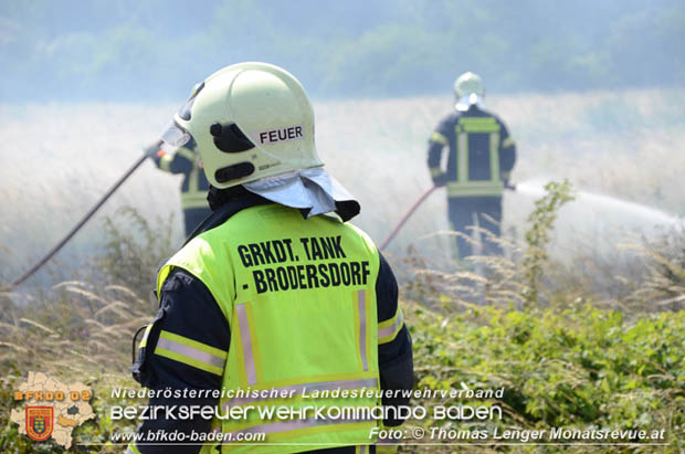 20180619 Großer Flurbrand bei Unterwaltersdorf Foto: © Thomas Lenger Monatsrevue.at 20180619 Großer Flurbrand bei Unterwaltersdorf Foto: © Thomas Lenger Monatsrevue.at