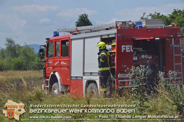 20180619 Großer Flurbrand bei Unterwaltersdorf Foto: © Thomas Lenger Monatsrevue.at 20180619 Großer Flurbrand bei Unterwaltersdorf Foto: © Thomas Lenger Monatsrevue.at