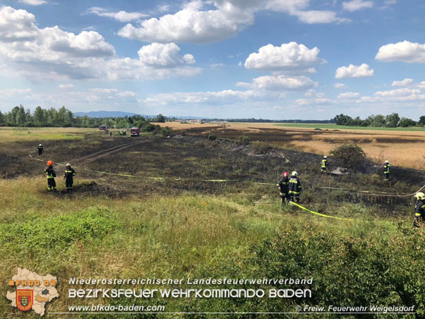 20180619 Flurbrand in Unterwaltersdorf  Foto: © Freiwillige Feuewehr Weigelsdorf