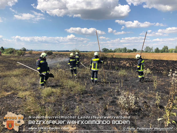 20180619 Flurbrand in Unterwaltersdorf  Foto: © Freiwillige Feuewehr Weigelsdorf