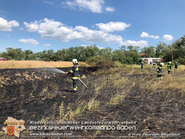 20180619 Flurbrand in Unterwaltersdorf  Foto: © Freiwillige Feuewehr Weigelsdorf