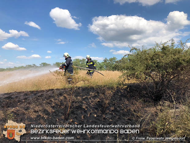 20180619 Flurbrand in Unterwaltersdorf  Foto: © Freiwillige Feuewehr Weigelsdorf