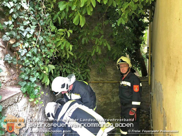 20180623 Baum fiel auf Gasleitung in Pottenstein Foto: © Mario Grabner FF Pottenstein 20180623 Baum fiel auf Gasleitung in Pottenstein Foto: © Mario Grabner FF Pottenstein