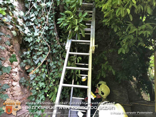 20180623 Baum fiel auf Gasleitung in Pottenstein Foto: © Mario Grabner FF Pottenstein 20180623 Baum fiel auf Gasleitung in Pottenstein Foto: © Mario Grabner FF Pottenstein