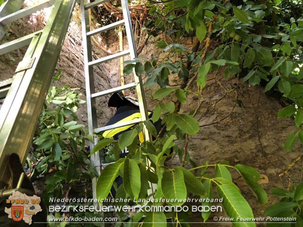 20180623 Baum fiel auf Gasleitung in Pottenstein Foto: © Mario Grabner FF Pottenstein 20180623 Baum fiel auf Gasleitung in Pottenstein Foto: © Mario Grabner FF Pottenstein