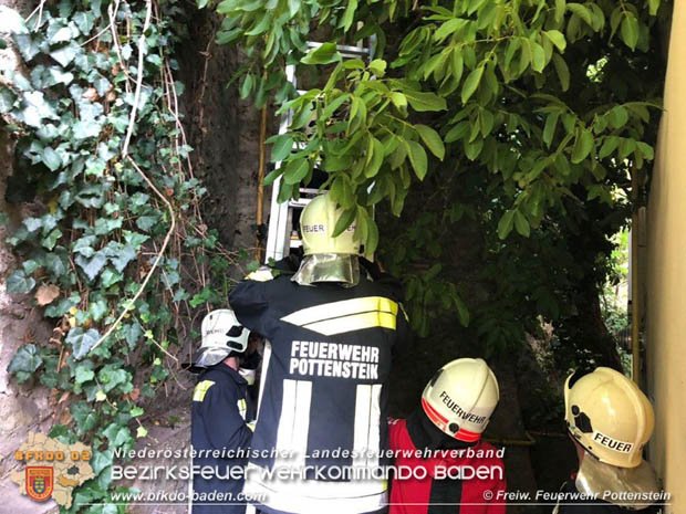 20180623 Baum fiel auf Gasleitung in Pottenstein Foto: © Mario Grabner FF Pottenstein 20180623 Baum fiel auf Gasleitung in Pottenstein Foto: © Mario Grabner FF Pottenstein