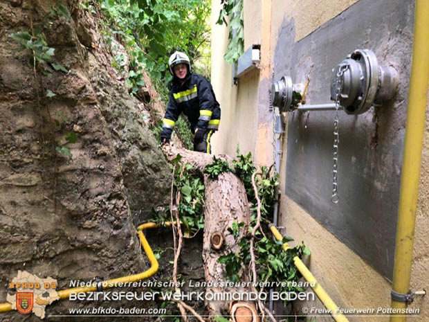 20180623 Baum fiel auf Gasleitung in Pottenstein Foto: © Mario Grabner FF Pottenstein 20180623 Baum fiel auf Gasleitung in Pottenstein Foto: © Mario Grabner FF Pottenstein