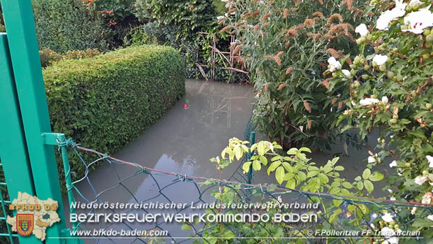 20180809 Kleingartensiedlung in Traiskirchen nach Wasserrohrbruch überflutet  Foto: © Franz Pölleritzer FF Traiskirchen-Stadt