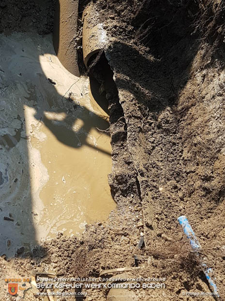 20180809 Kleingartensiedlung in Traiskirchen nach Wasserrohrbruch überflutet  Foto: © Philipp Michalek