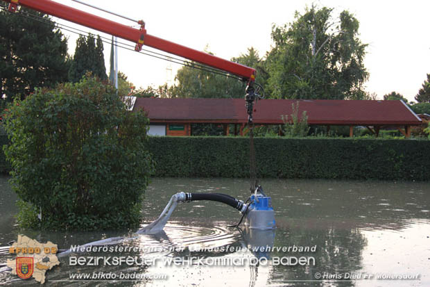 20180809 Kleingartensiedlung in Traiskirchen nach Wasserrohrbruch überflutet  Foto: © Hans Dietl FF Möllersdorf