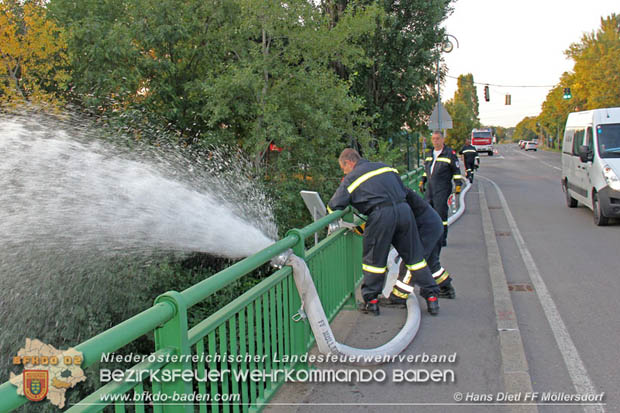 20180809 Kleingartensiedlung in Traiskirchen nach Wasserrohrbruch überflutet  Foto: © Hans Dietl FF Möllersdorf