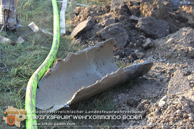 20180809 Kleingartensiedlung in Traiskirchen nach Wasserrohrbruch überflutet  Foto: © Hans Dietl FF Möllersdorf
