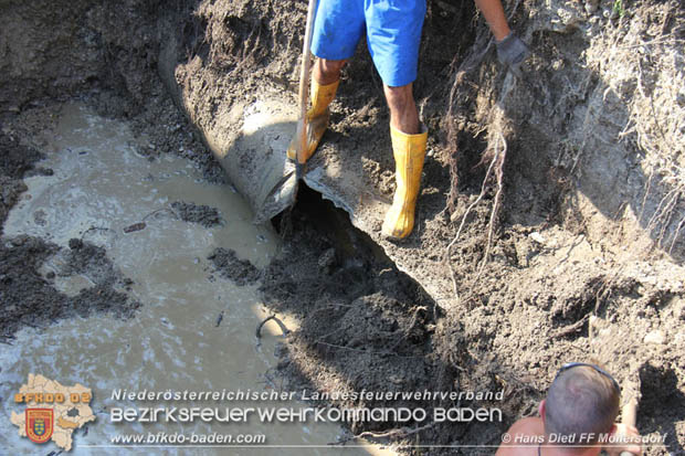 20180809 Kleingartensiedlung in Traiskirchen nach Wasserrohrbruch überflutet  Foto: © Hans Dietl FF Möllersdorf