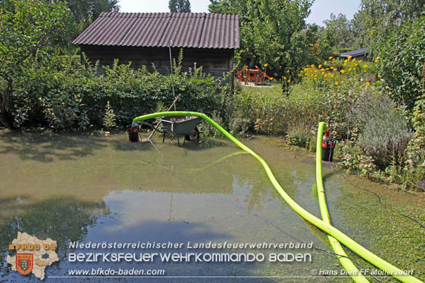 20180809 Kleingartensiedlung in Traiskirchen nach Wasserrohrbruch überflutet  Foto: © Hans Dietl FF Möllersdorf