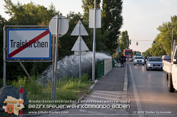 20180809 Kleingartensiedlung in Traiskirchen nach Wasserrohrbruch überflutet  Foto: © Stefan Schneider