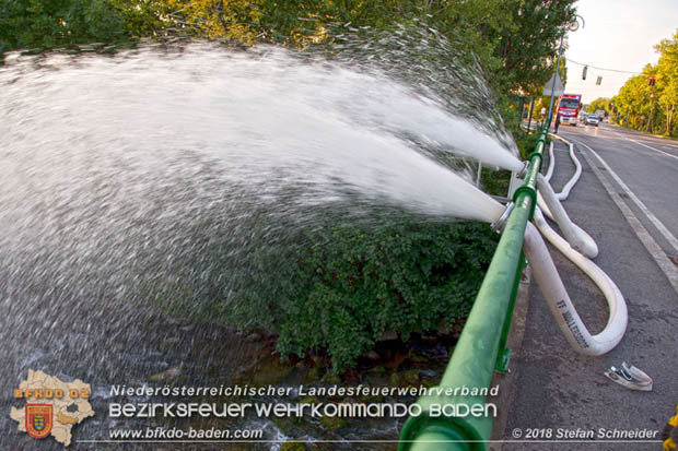 20180809 Kleingartensiedlung in Traiskirchen nach Wasserrohrbruch überflutet  Foto: © Stefan Schneider