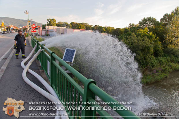 20180809 Kleingartensiedlung in Traiskirchen nach Wasserrohrbruch überflutet  Foto: © Stefan Schneider