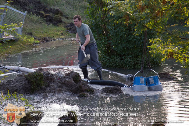 20180809 Kleingartensiedlung in Traiskirchen nach Wasserrohrbruch überflutet  Foto: © Stefan Schneider