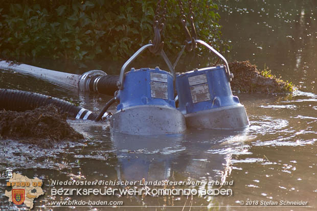 20180809 Kleingartensiedlung in Traiskirchen nach Wasserrohrbruch überflutet  Foto: © Stefan Schneider