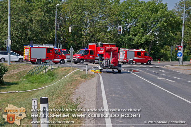 20180809 Kleingartensiedlung in Traiskirchen nach Wasserrohrbruch überflutet Foto: © Stefan Schneider