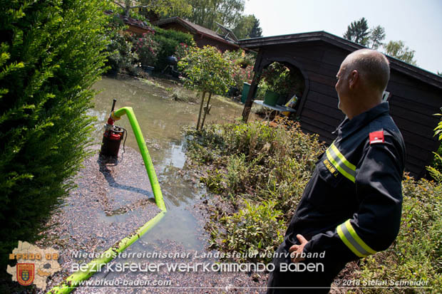 20180809 Kleingartensiedlung in Traiskirchen nach Wasserrohrbruch überflutet Foto: © Stefan Schneider