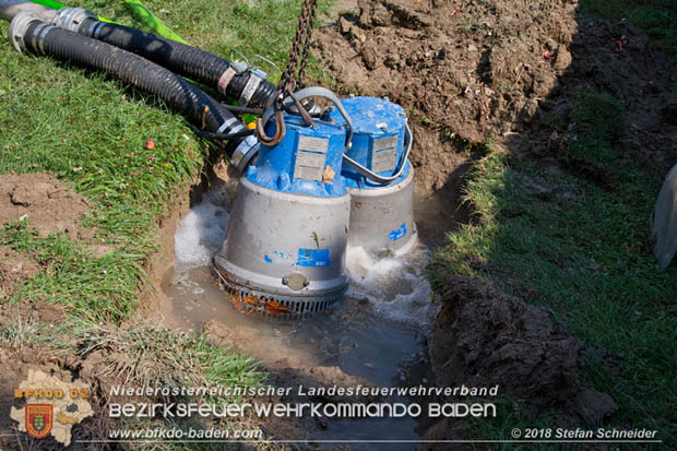20180809 Kleingartensiedlung in Traiskirchen nach Wasserrohrbruch überflutet Foto: © Stefan Schneider