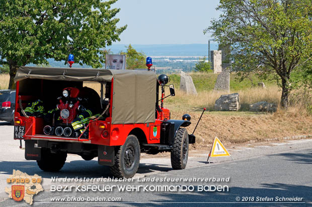 20180819 Ausgedehnter Flurbrand in unmitelbarer Waldnähe bei Lindabrunn Richtung Aigen  Foto: © Stefan Schneider