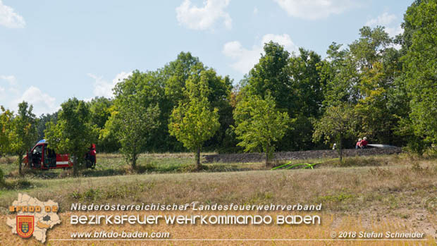 20180819 Ausgedehnter Flurbrand in unmitelbarer Waldnähe bei Lindabrunn Richtung Aigen  Foto: © Stefan Schneider