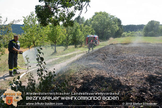 20180819 Ausgedehnter Flurbrand in unmitelbarer Waldnähe bei Lindabrunn Richtung Aigen  Foto: © Stefan Schneider