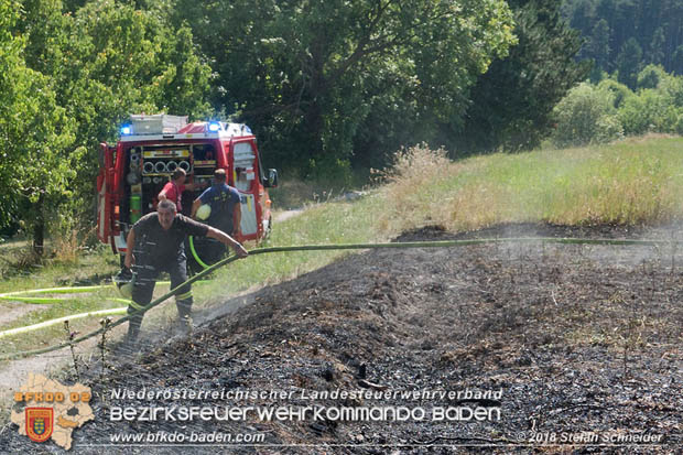 20180819 Ausgedehnter Flurbrand in unmitelbarer Waldnähe bei Lindabrunn Richtung Aigen  Foto: © Stefan Schneider