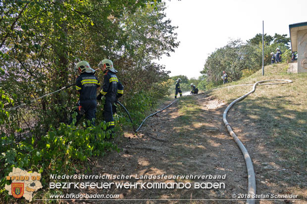 20180819 Ausgedehnter Flurbrand in unmitelbarer Waldnähe bei Lindabrunn Richtung Aigen  Foto: © Stefan Schneider