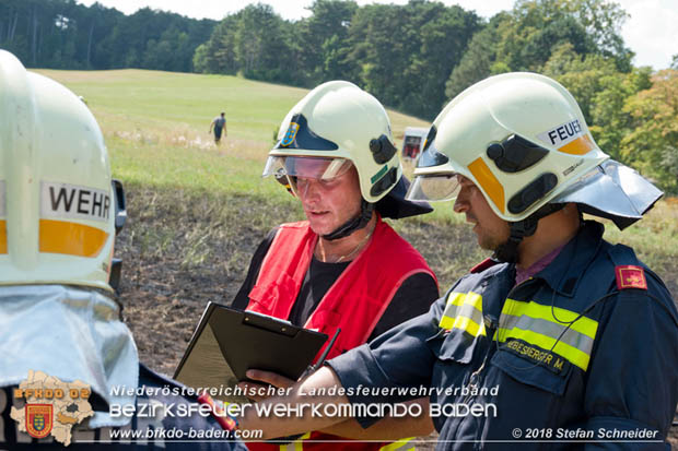20180819 Ausgedehnter Flurbrand in unmitelbarer Waldnähe bei Lindabrunn Richtung Aigen  Foto: © Stefan Schneider
