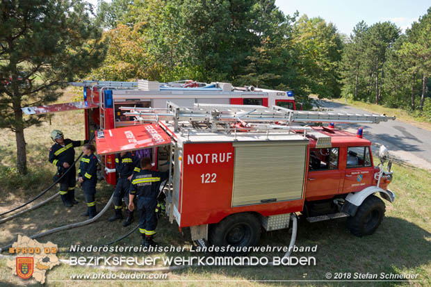 20180819 Ausgedehnter Flurbrand in unmitelbarer Waldnähe bei Lindabrunn Richtung Aigen  Foto: © Stefan Schneider