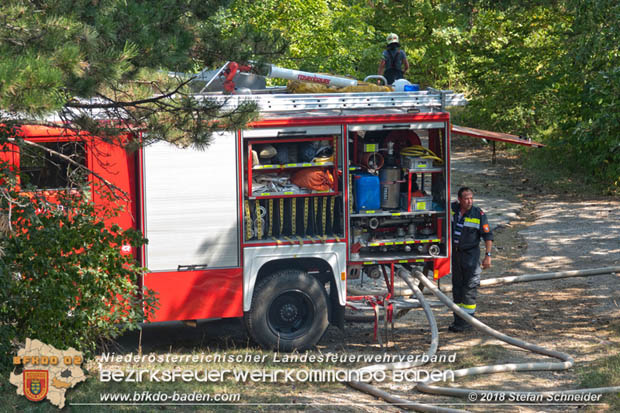 20180819 Ausgedehnter Flurbrand in unmitelbarer Waldnähe bei Lindabrunn Richtung Aigen  Foto: © Stefan Schneider
